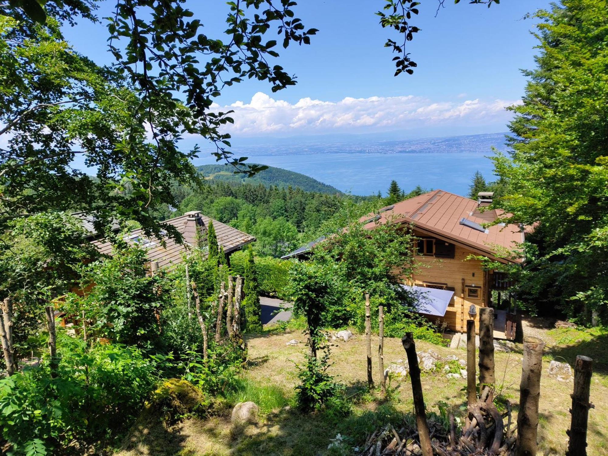 Chalet La Trouvaille Thollon-les-Memises Ngoại thất bức ảnh